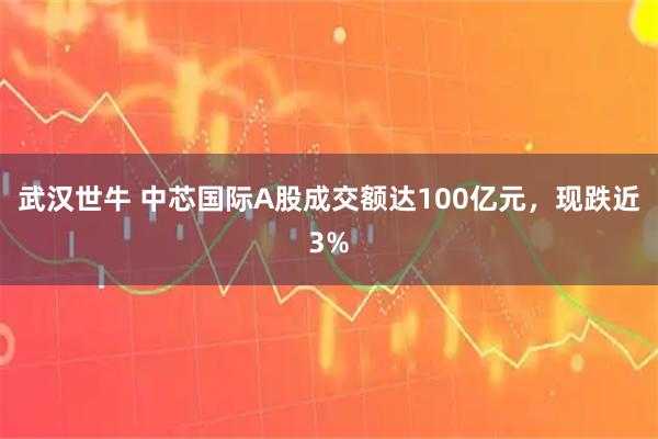 武汉世牛 中芯国际A股成交额达100亿元，现跌近3%
