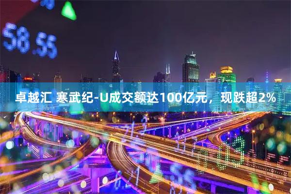 卓越汇 寒武纪-U成交额达100亿元，现跌超2%